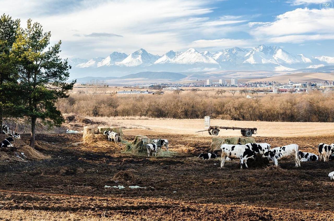 Apartman Ala Spišská Nová Ves Buitenkant foto